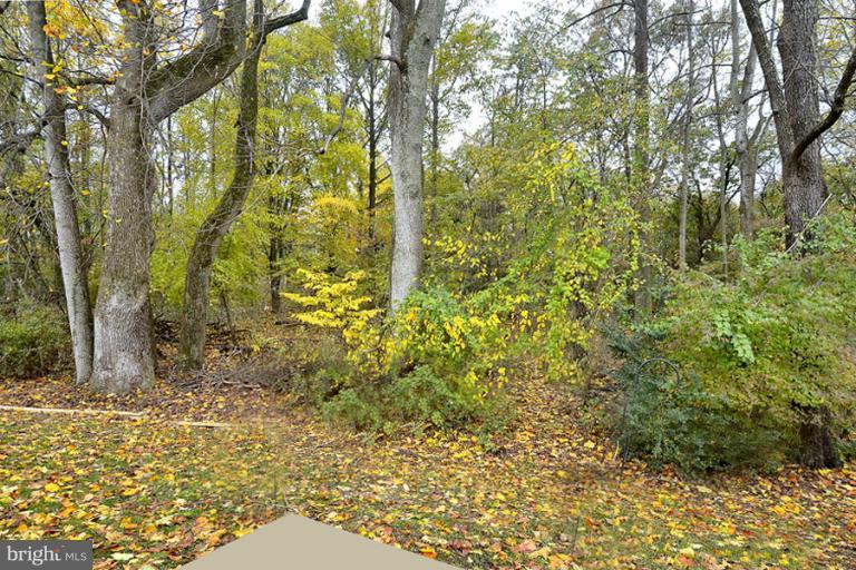 870 Rudder Way Annapolis, MD 21401 - Photo 21 of 30 Lovely Yard Backing to Trees