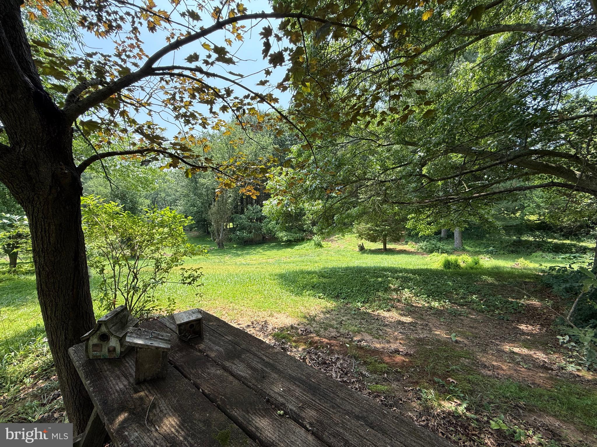 4050 Grande View Drive Pylesville, MD 21132 - Photo 37 of 40 a view of a yard with plants
