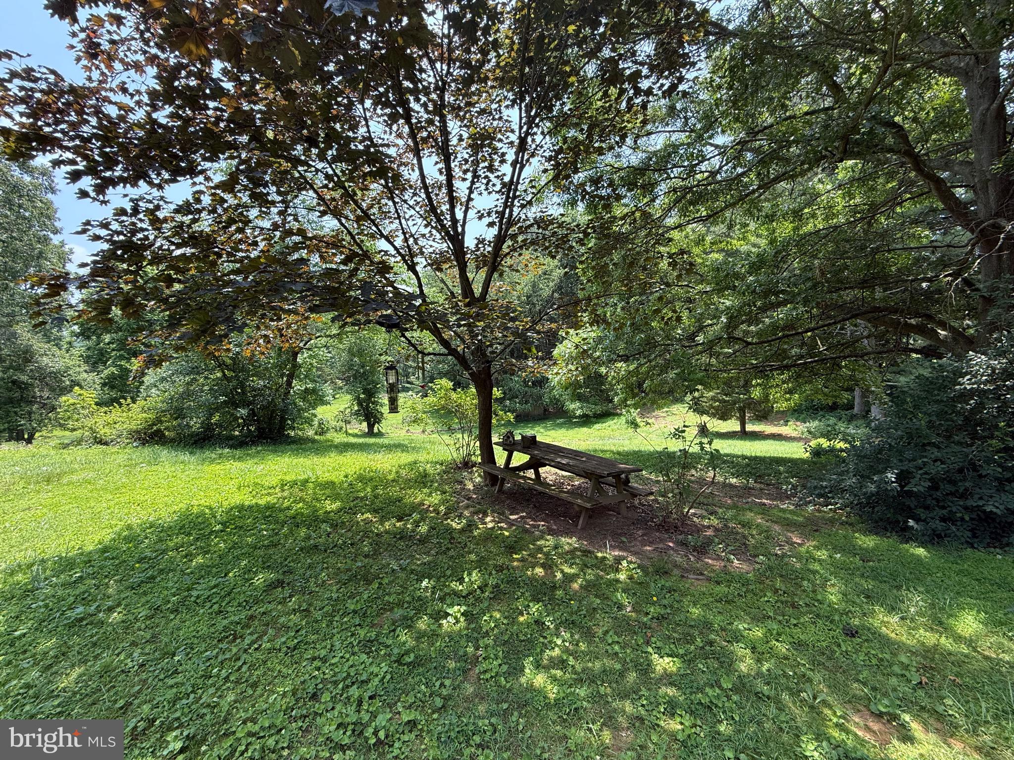 4050 Grande View Drive Pylesville, MD 21132 - Photo 38 of 40 a view of a park with large trees