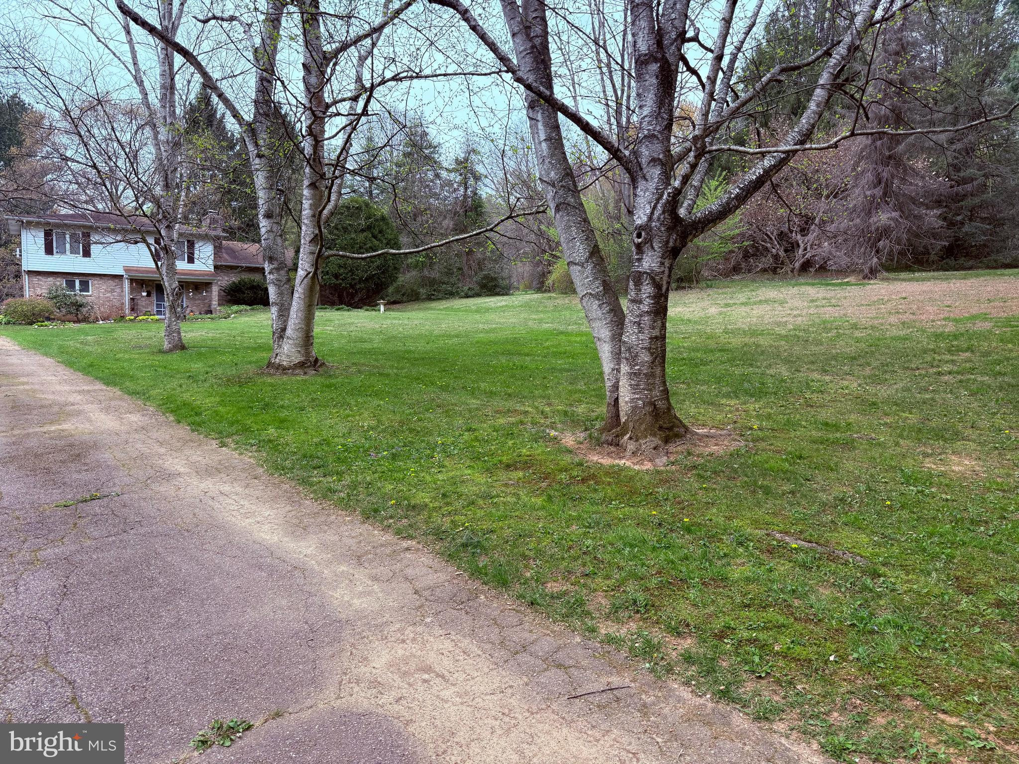 4050 Grande View Drive Pylesville, MD 21132 - Photo 4 of 40 a view of a garden with trees