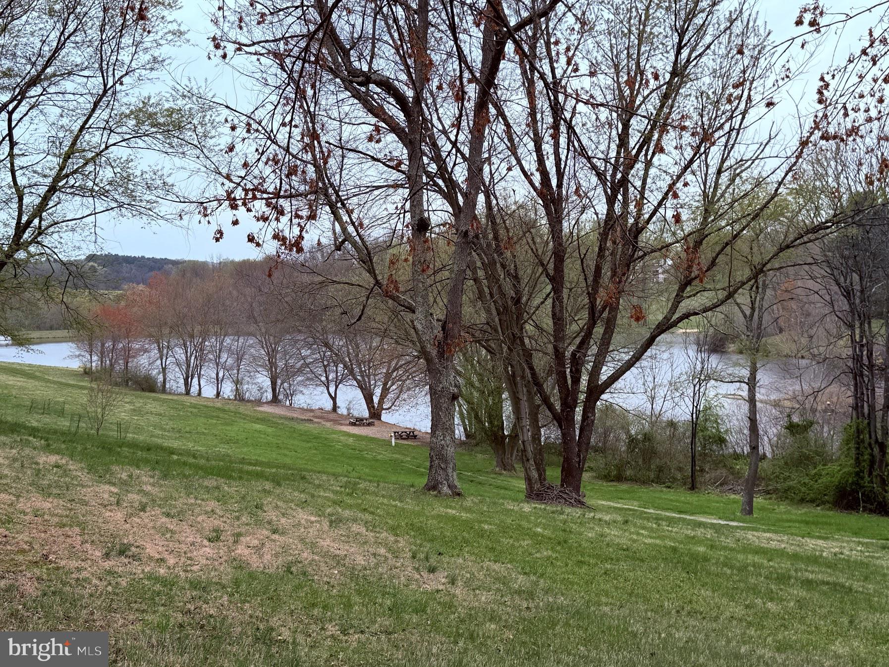 4050 Grande View Drive Pylesville, MD 21132 - Photo 7 of 40 a yard with trees in the background