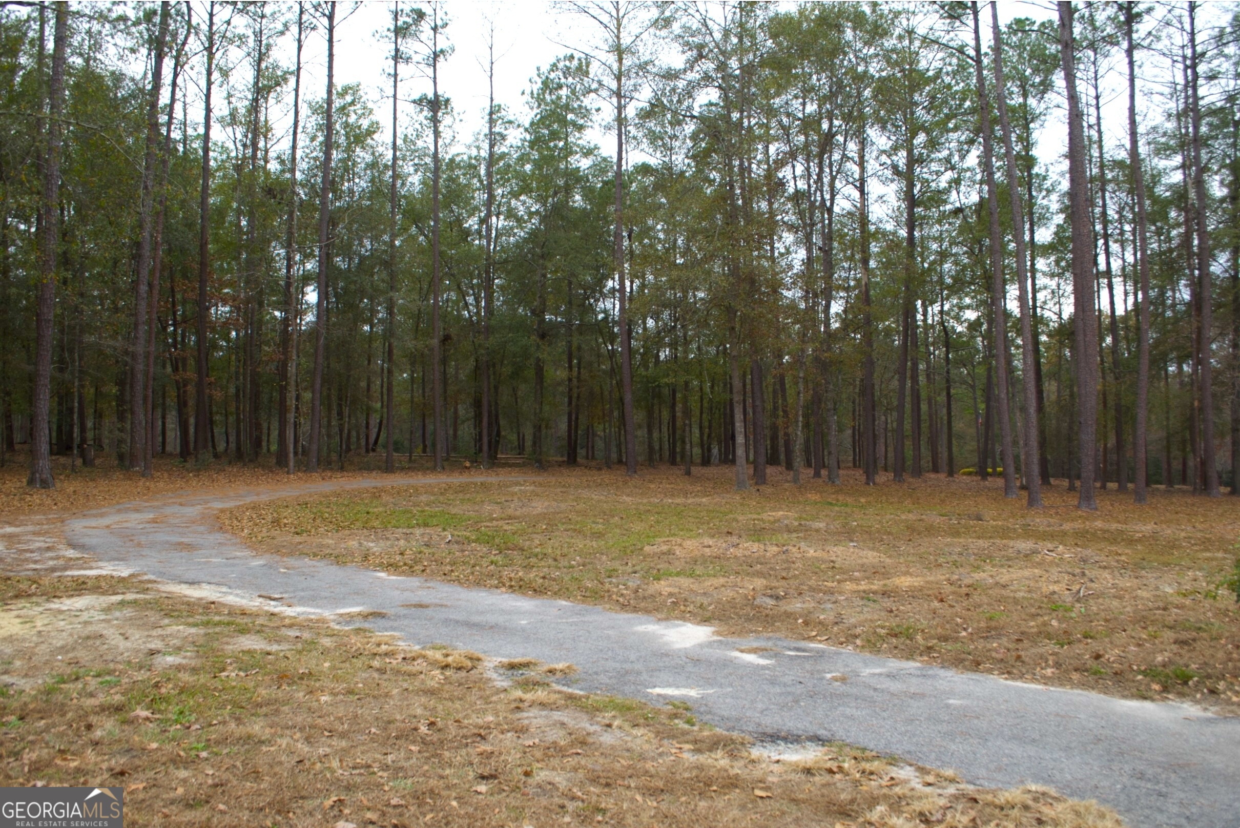 1206 Jasmine Road Dublin, GA 31021 - Photo 4 of 33 a house view with backyard space
