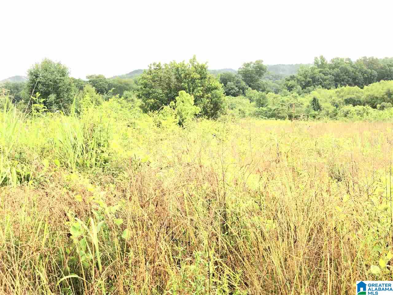 0 Old Downey Mill Road Anniston, AL 36207 - Photo 15 of 28