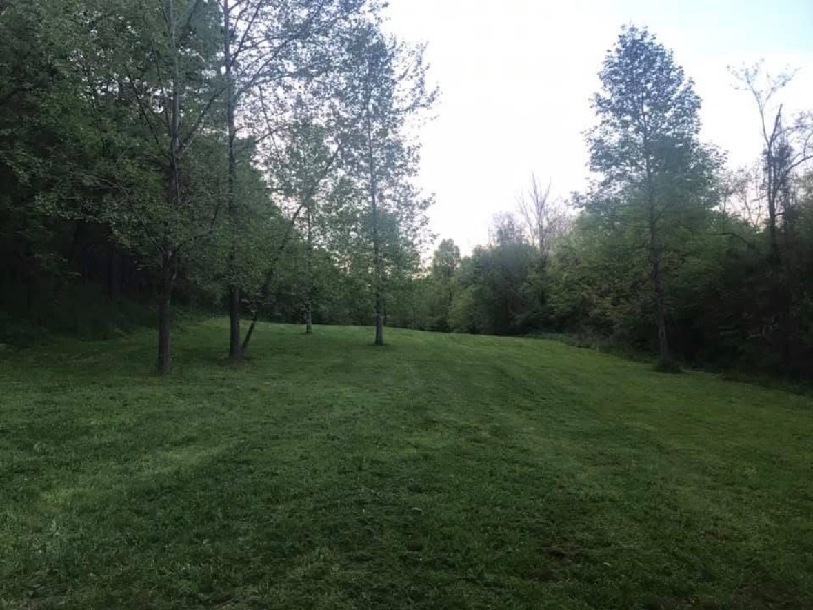 615 Rogues Fork Road Bethpage, TN 37022 - Photo 44 of 53