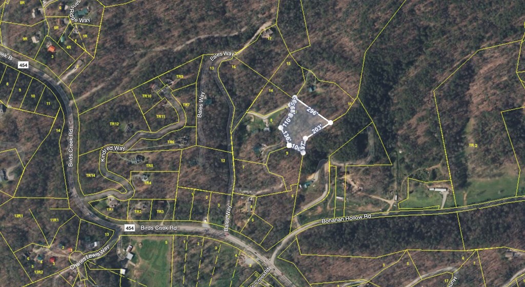 10 Birds Creek Road Sevierville, TN 37876 - Photo 2 of 5