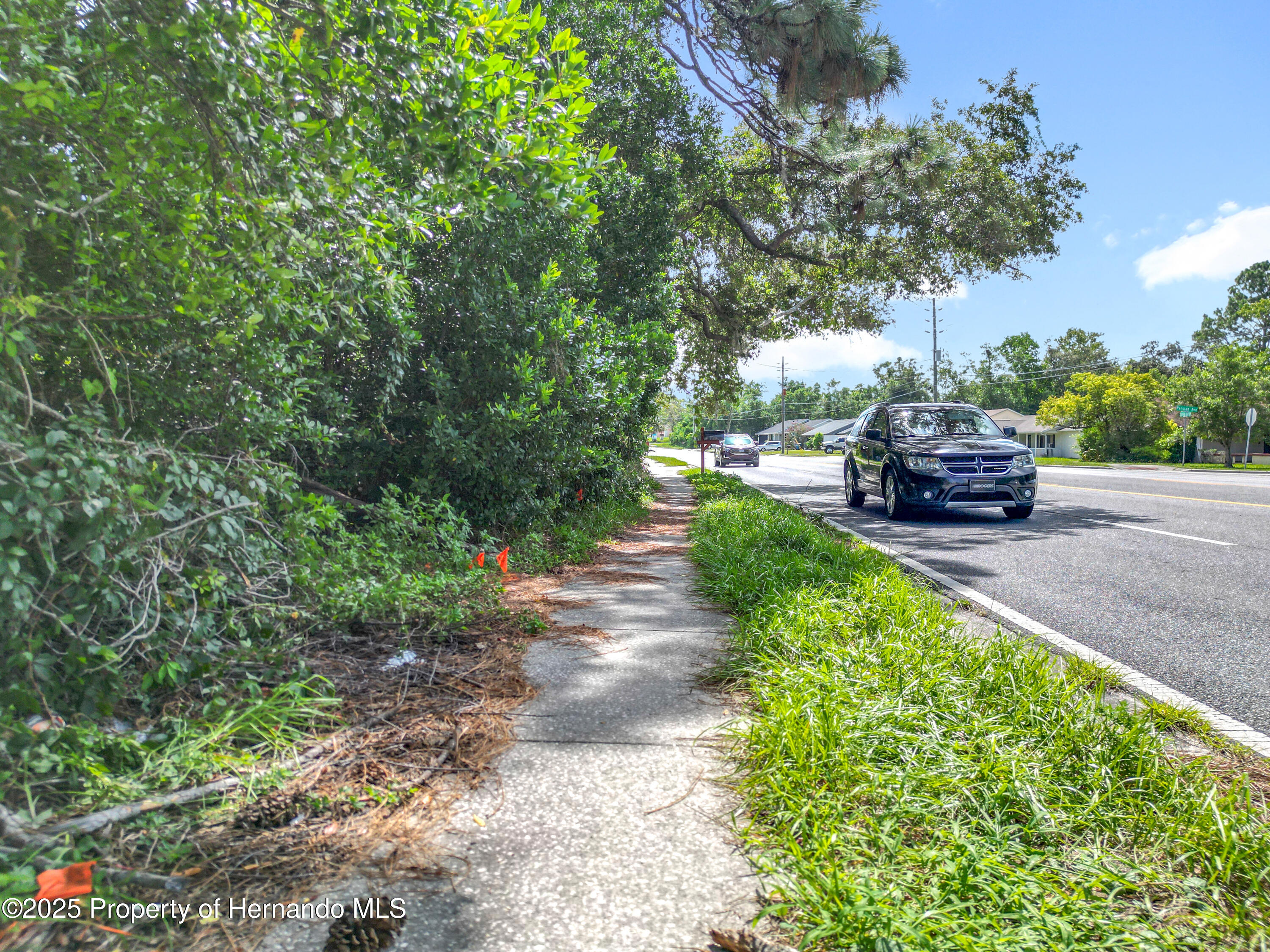 0 Spring Hill Drive Spring Hill, FL 34608 - Photo 11 of 20