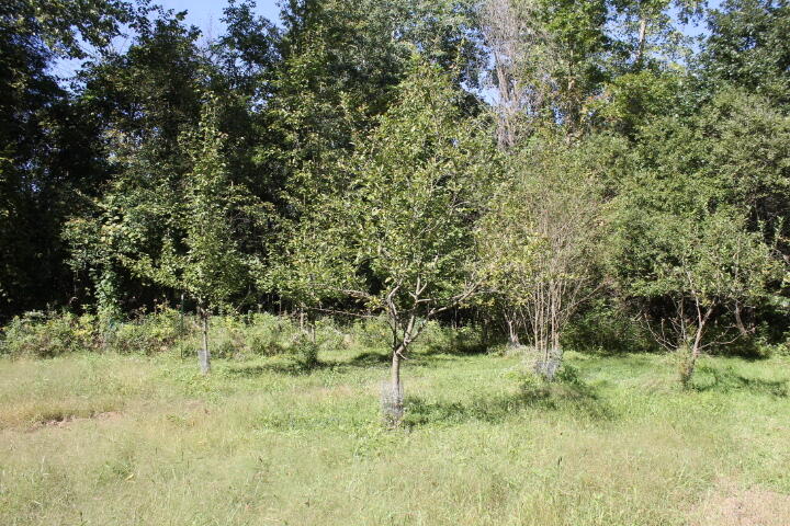 12150 Lone Tree Road Milford, MI 48380 - Photo 13 of 25