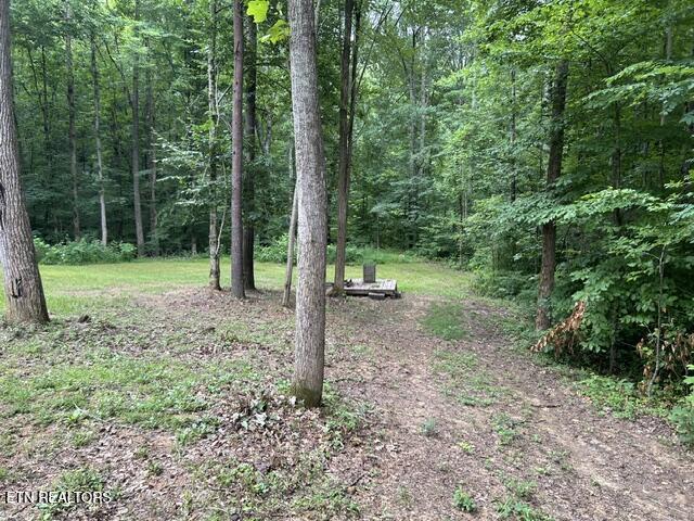 240 Monroe Road Maynardville, TN 37807 - Photo 4 of 11 IMG_4477