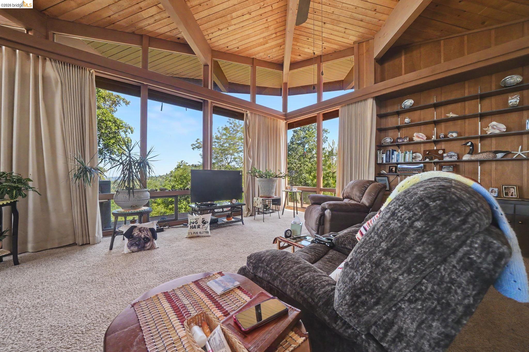 6161 Fullen Road Murphys, CA 95247 - Photo 28 of 53 a living room with furniture a fireplace and large windows