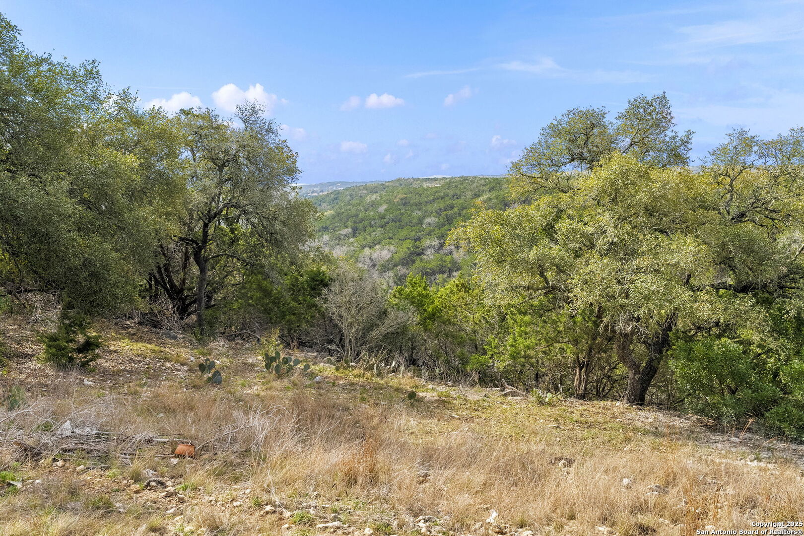 178 Timber Hill Pipe Creek, TX 78063 - Photo 40 of 47