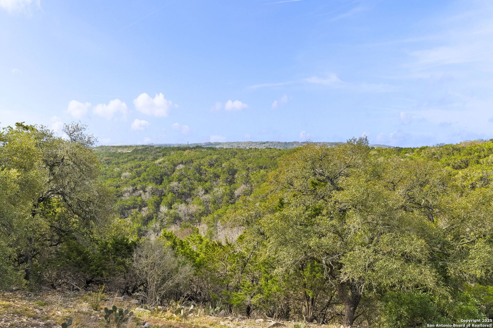 178 Timber Hill Pipe Creek, TX 78063 - Photo 42 of 47