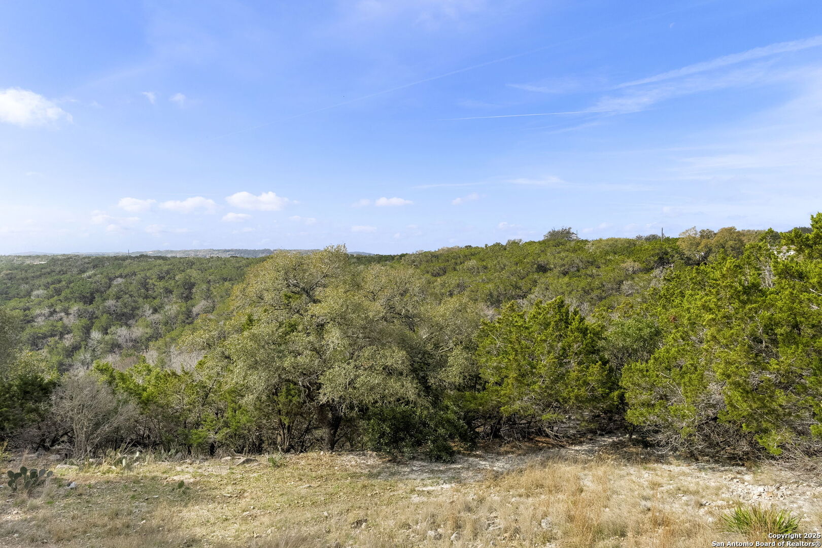 178 Timber Hill Pipe Creek, TX 78063 - Photo 43 of 47