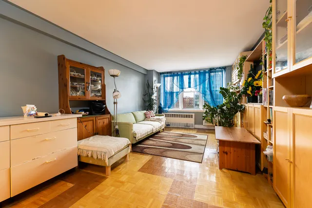 a living room with furniture and a potted plant