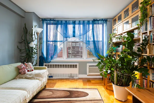 a living room with a balcony furniture and a potted plant