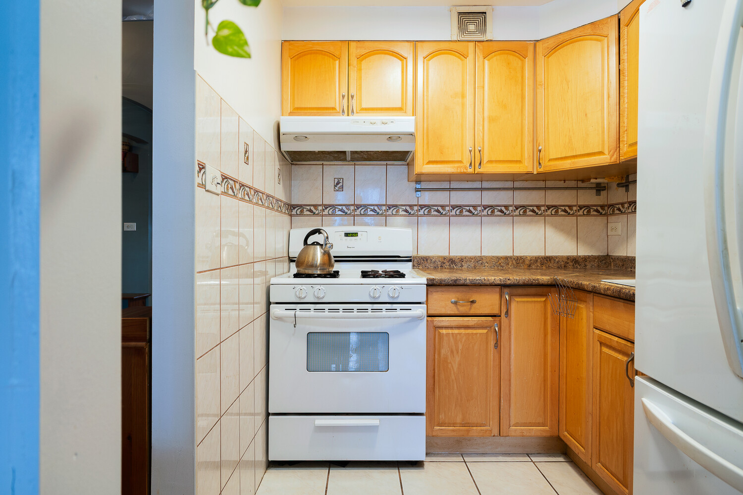495 East 7th Street, Unit 6J Brooklyn, NY 11218 - Photo 7 of 16