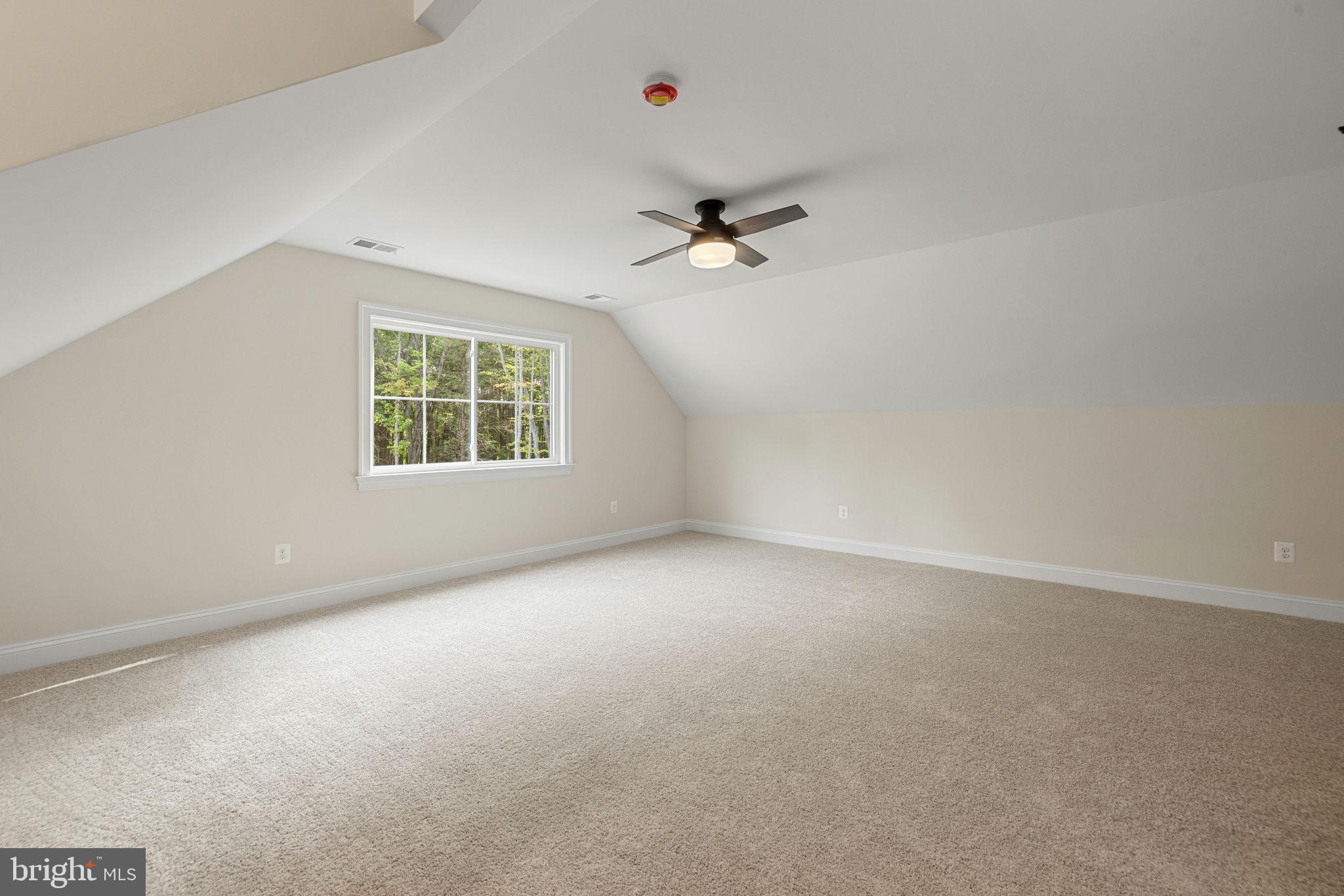 7329 Riley Road Warrenton, VA 20187 - Photo 48 of 69 an empty room with windows and ceiling fan