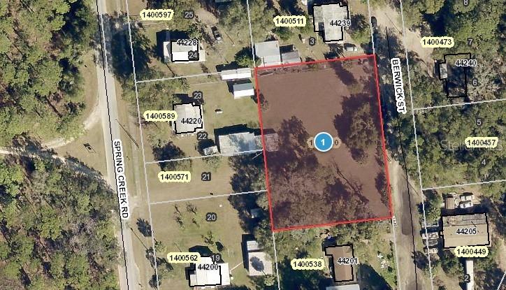 Spring Creek Road Paisley, FL 32767 - Photo 1 of 1 Gallery Image 1