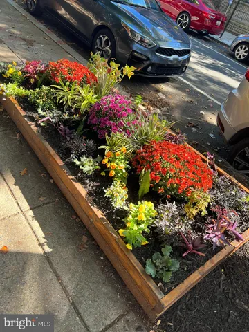 a view of a wooden bench