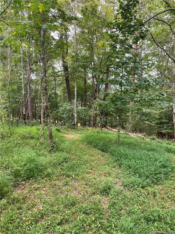 390 Huey Road Marshall, NC 28753 - Photo 44 of 47 Gallery Image 44