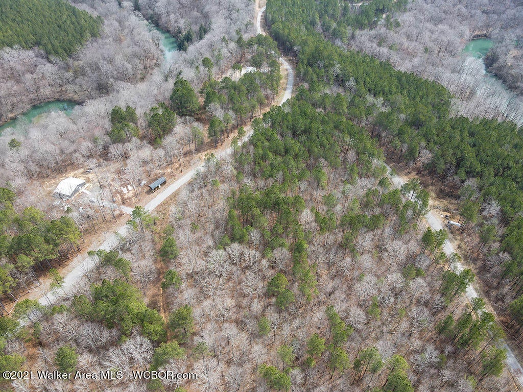 Lot#39 Turkey Bend Addison, AL 35540 - Photo 7 of 8 Gallery Image 7