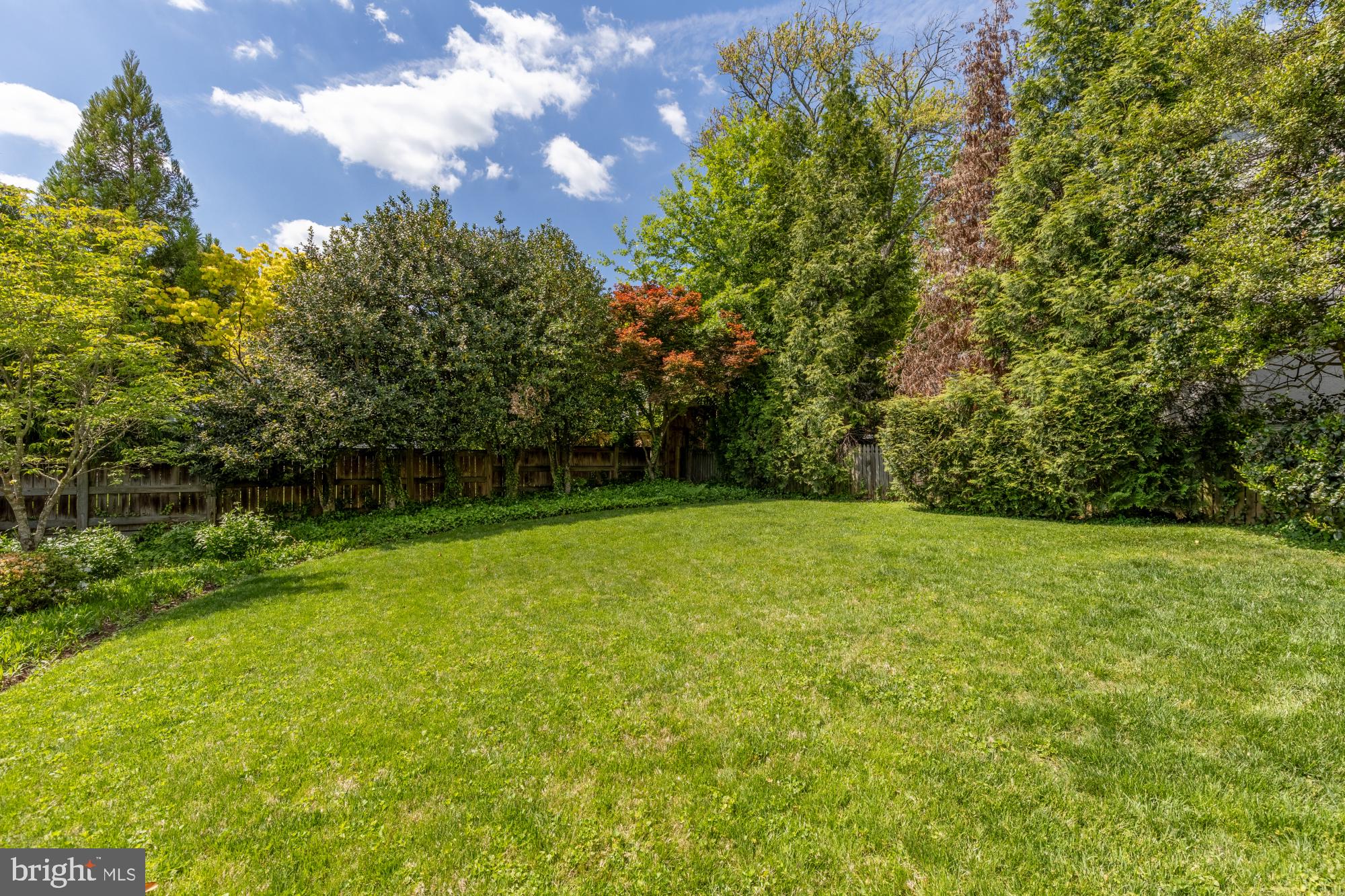 7208 Delfield Street Chevy Chase, MD 20815 - Photo 46 of 50 a view of outdoor space and yard