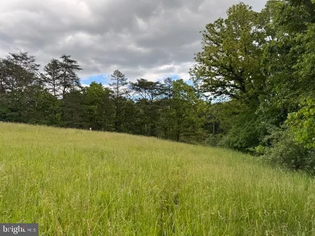 a view of a lake with a yard