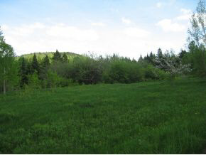 0 Cook Road, Unit AREA 1 Barton, VT 05822 - Photo 13 of 13 Gallery Image 13