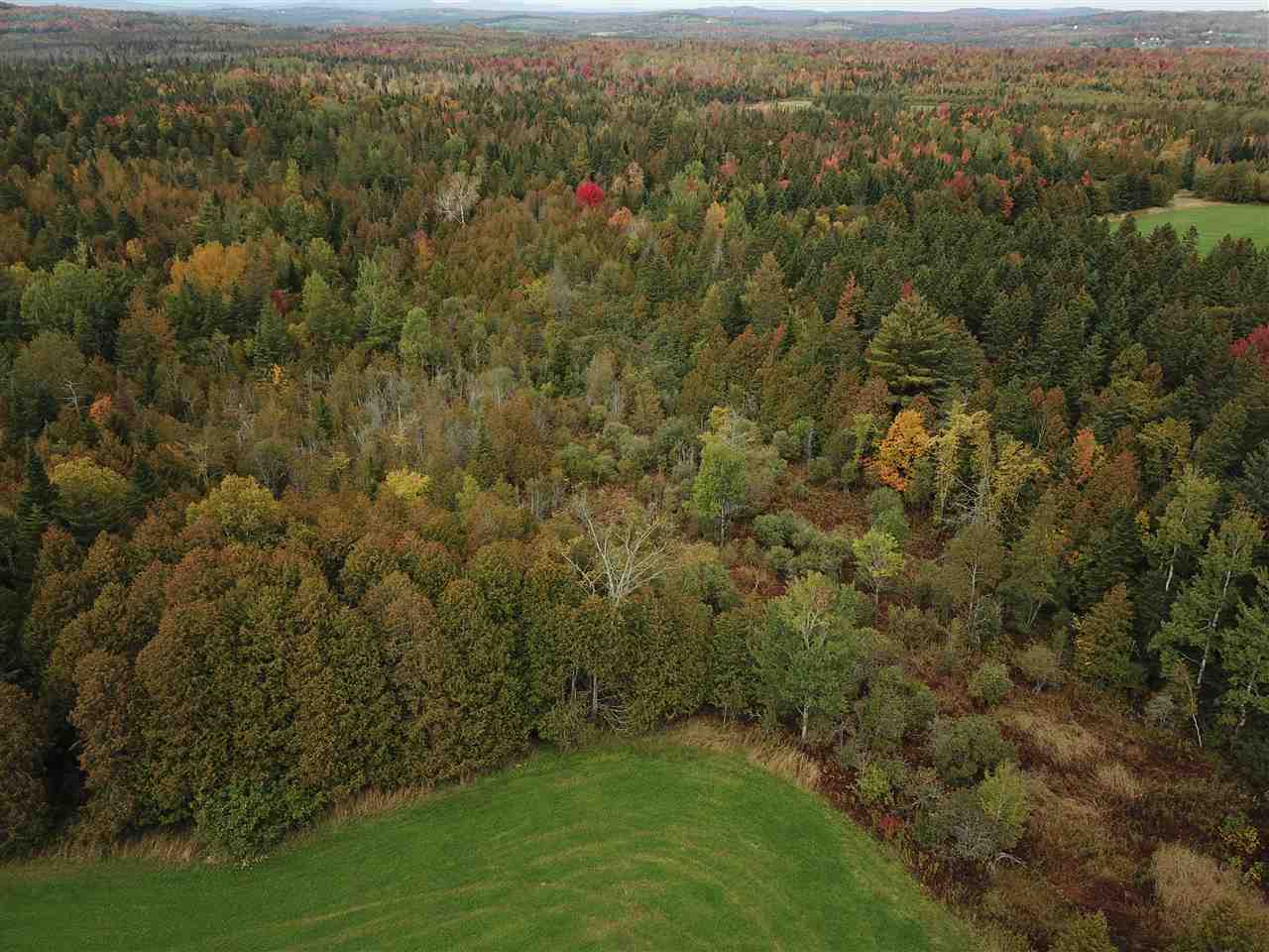 0 Cook Road, Unit AREA 1 Barton, VT 05822 - Photo 5 of 13 Gallery Image 5