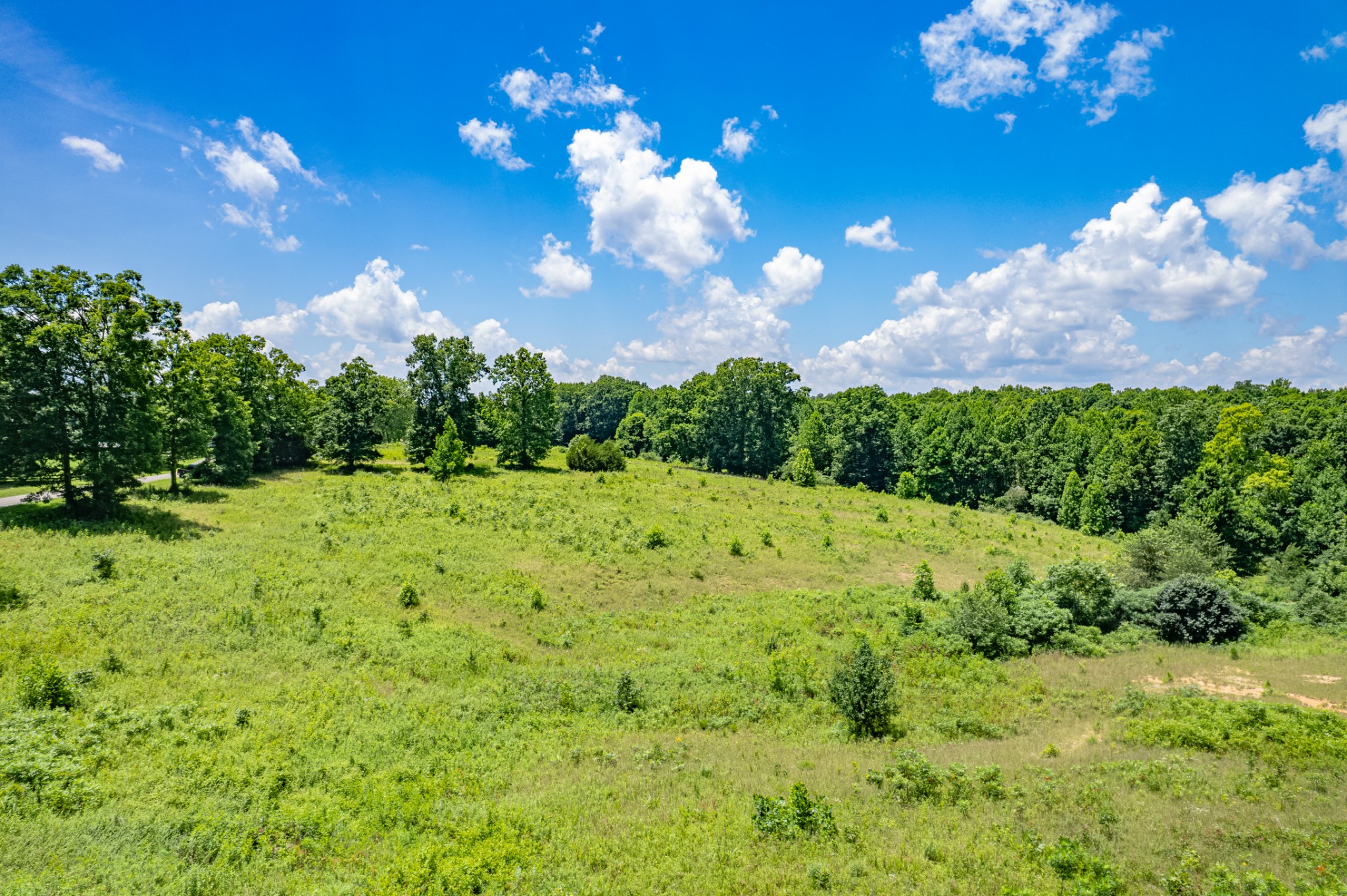 0 Mobley Ridge Road Duck River, TN 38454 - Photo 32 of 35 a view of a golf course with a tree