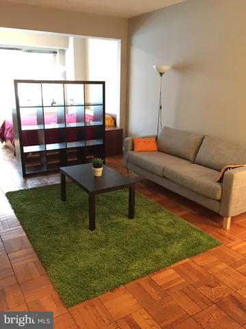 a living room with furniture and a rug