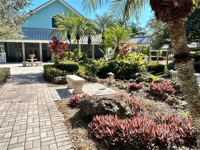 a view of a park with large trees