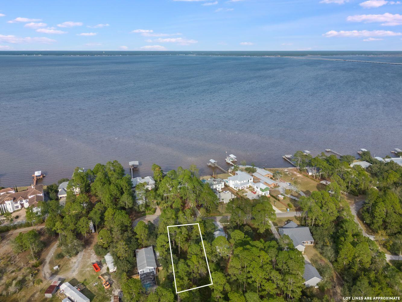 Lot 15 Carolyn Lane Santa Rosa Beach, FL 32459 - Photo 9 of 19 a close up of a flower in a garden