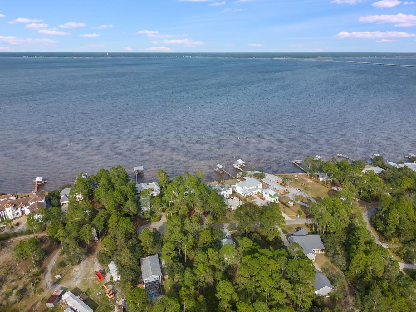 Lot 15 Carolyn Lane Santa Rosa Beach, FL 32459 - Photo 10 of 19 a close up of a flower in a garden