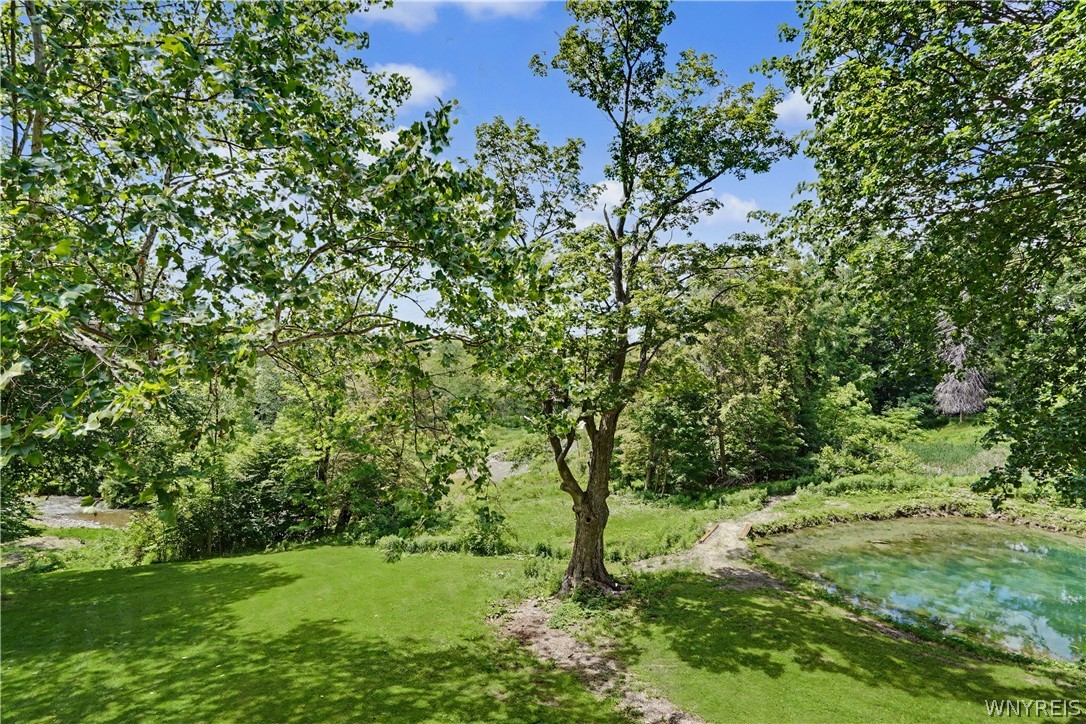 66 Grove Street Delevan, NY 14042 - Photo 13 of 50
