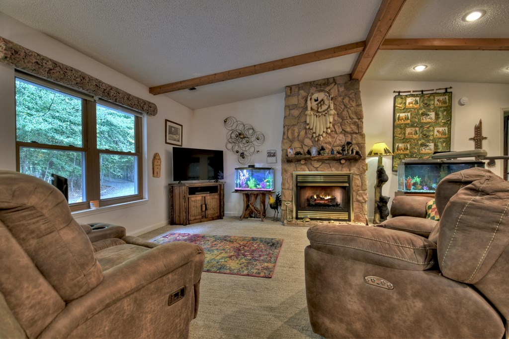 97 Mill Creek Acres Blue Ridge, GA 30513 - Photo 3 of 33 a living room with furniture a flat screen tv and a fireplace