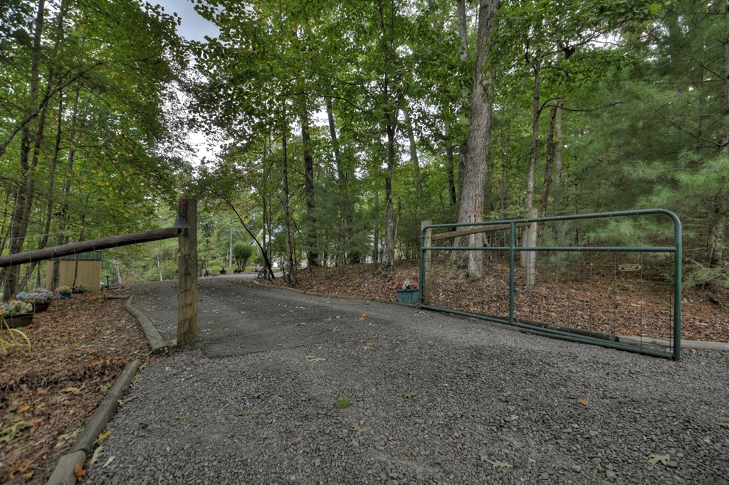 97 Mill Creek Acres Blue Ridge, GA 30513 - Photo 31 of 33 a view of a yard with large trees