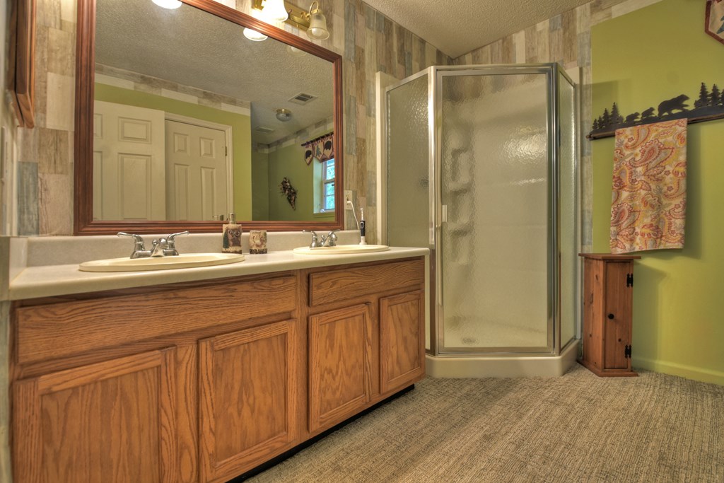 97 Mill Creek Acres Blue Ridge, GA 30513 - Photo 8 of 33 a bathroom with a double vanity sink mirror and shower
