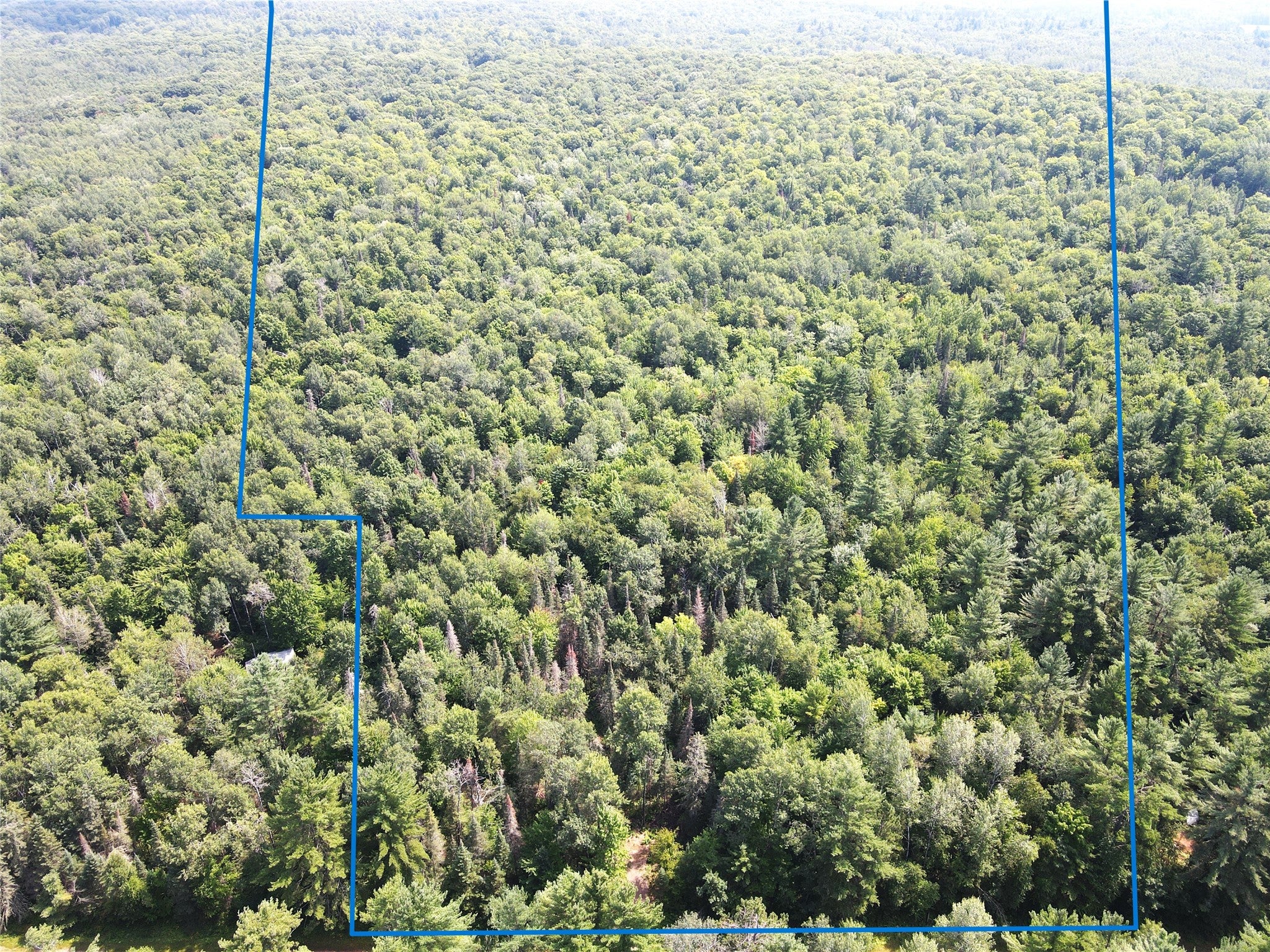 Lot 4 Smith Road Couderay, WI 54828 - Photo 14 of 27 Gallery Image 14