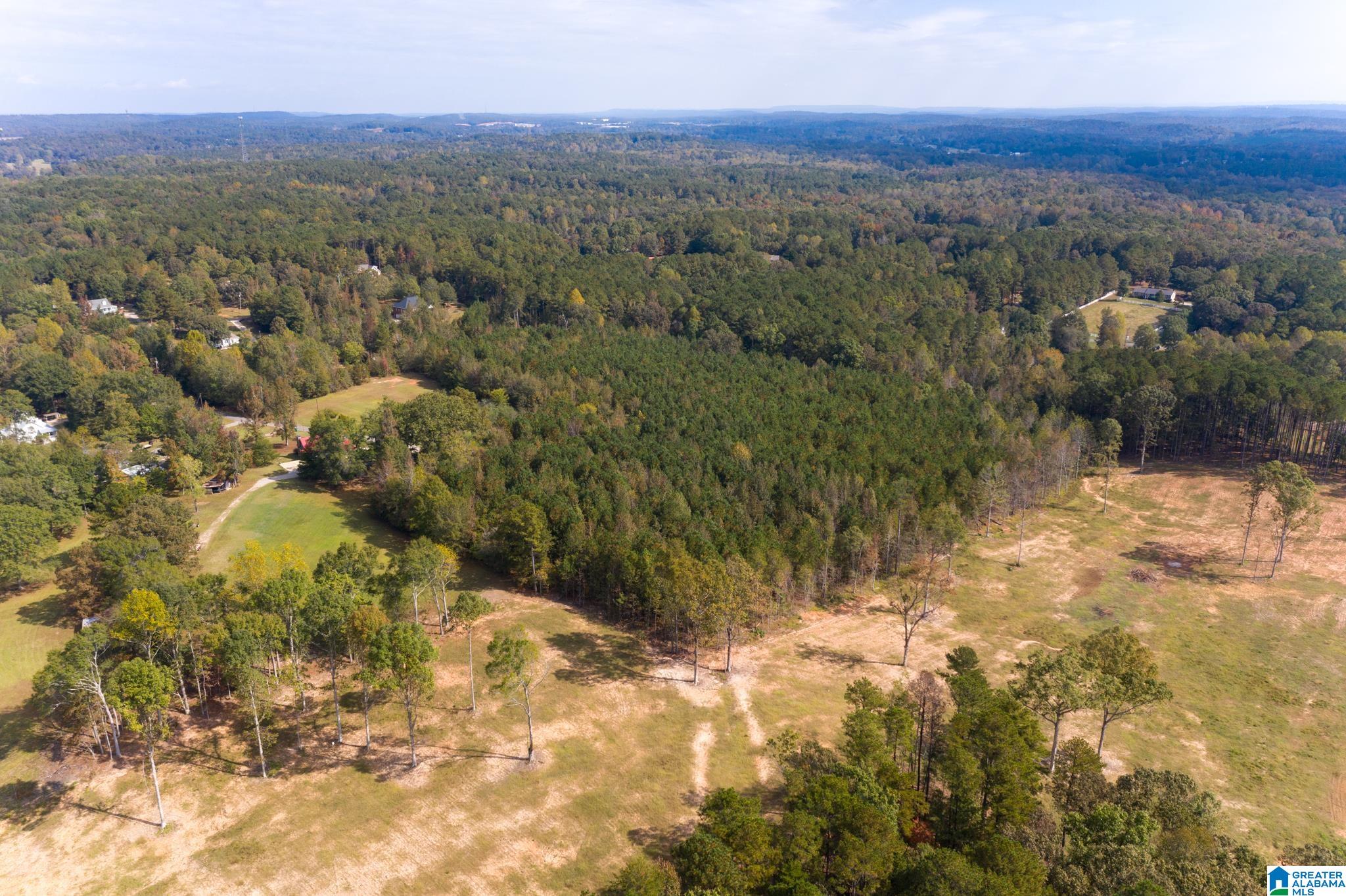 0 Olde S Spur McCalla, AL 35111 - Photo 14 of 25