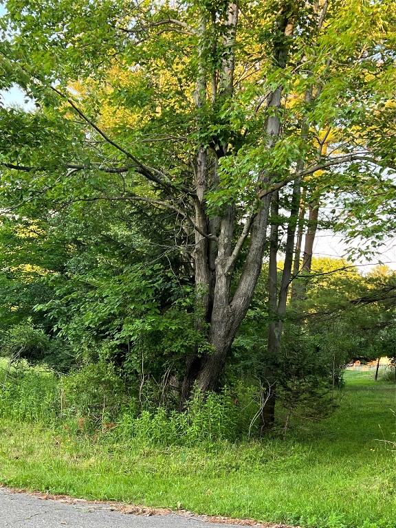 517 African Road Vestal, NY 13850 - Photo 4 of 4 Gallery Image 4