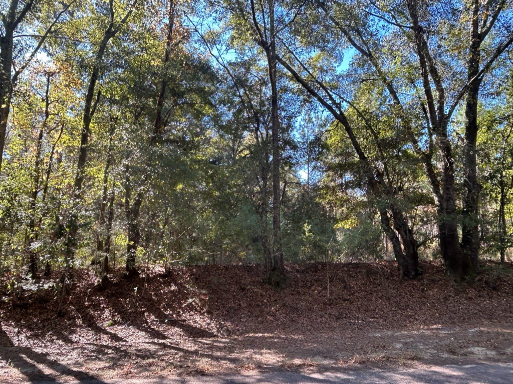 140/ Cty Road Headland, AL 36345 - Photo 9 of 33