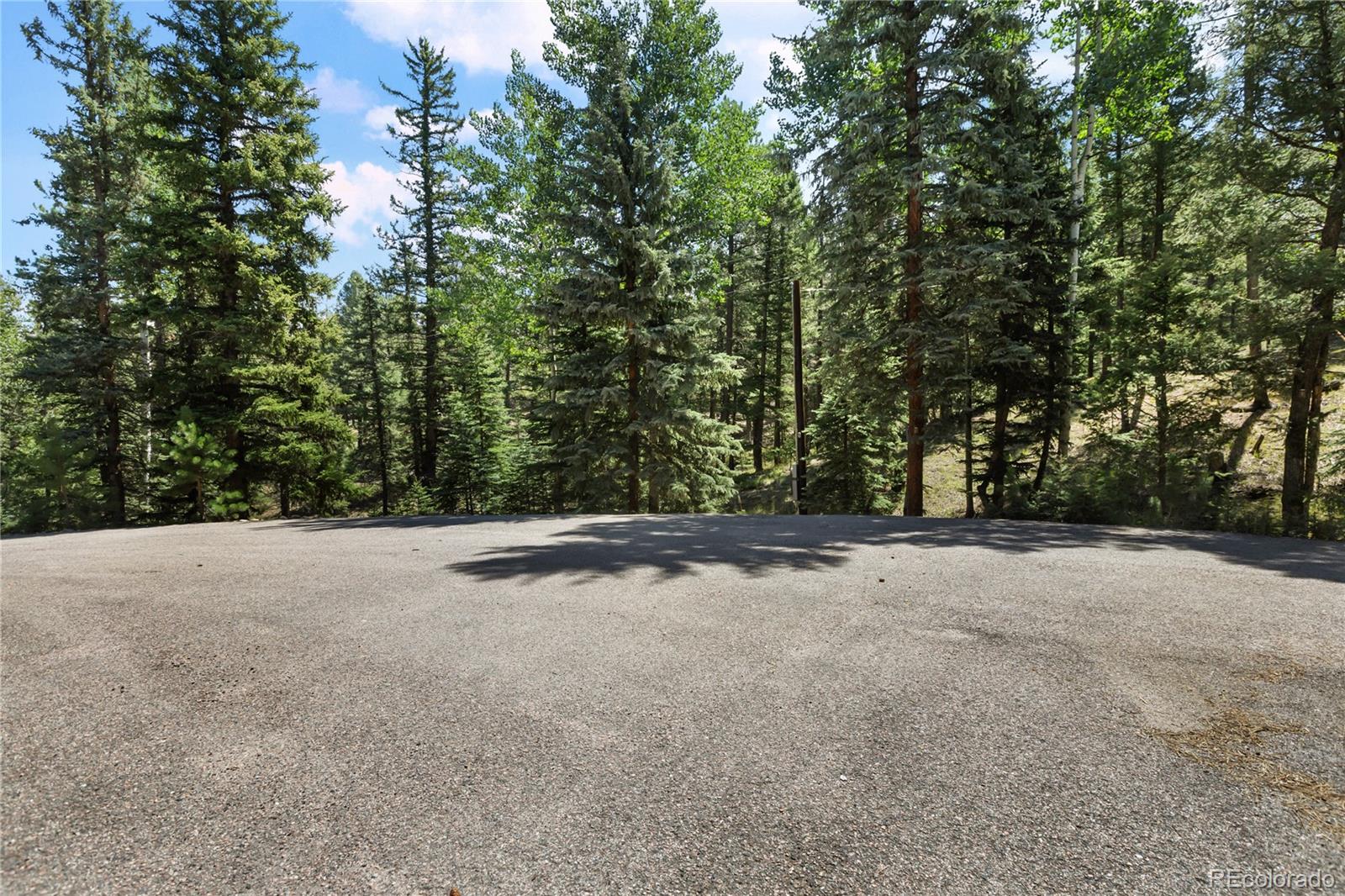 734 Kutsu Ridge Road Florissant, CO 80816 - Photo 41 of 41 Gallery Image 41