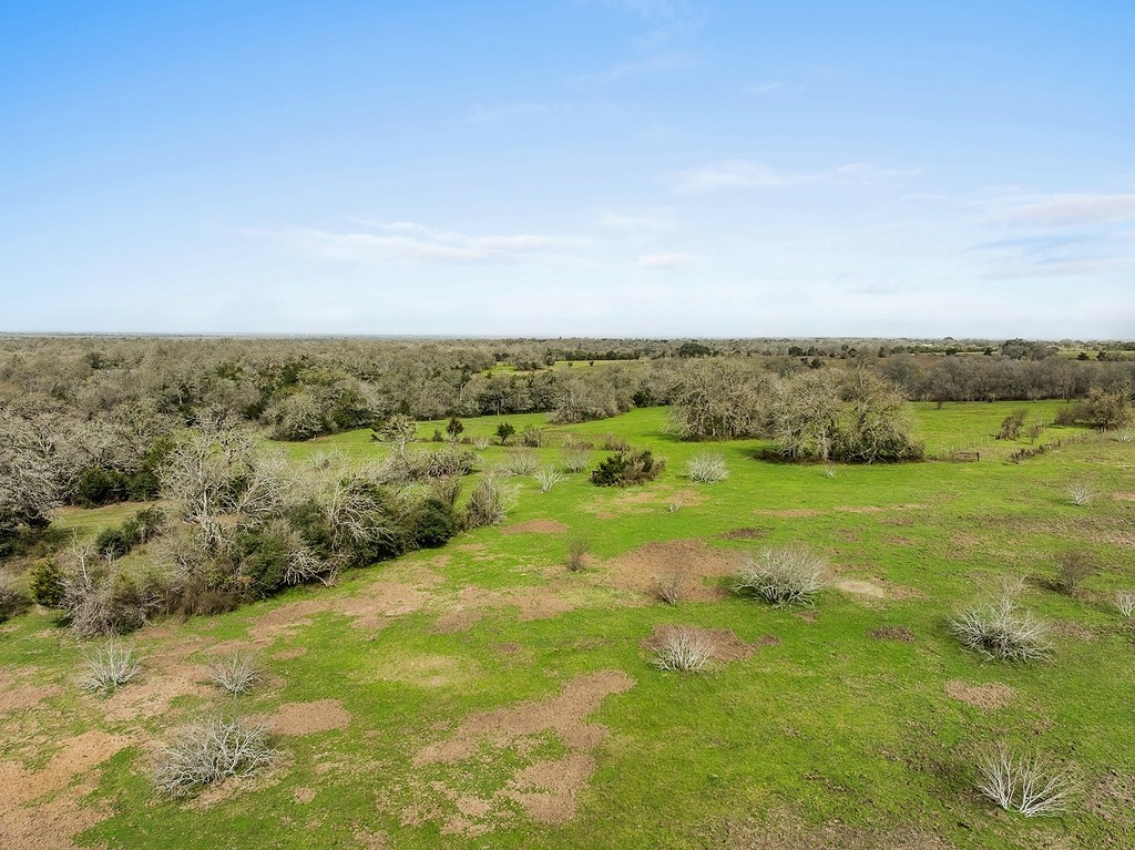 a view of a field with an ocean