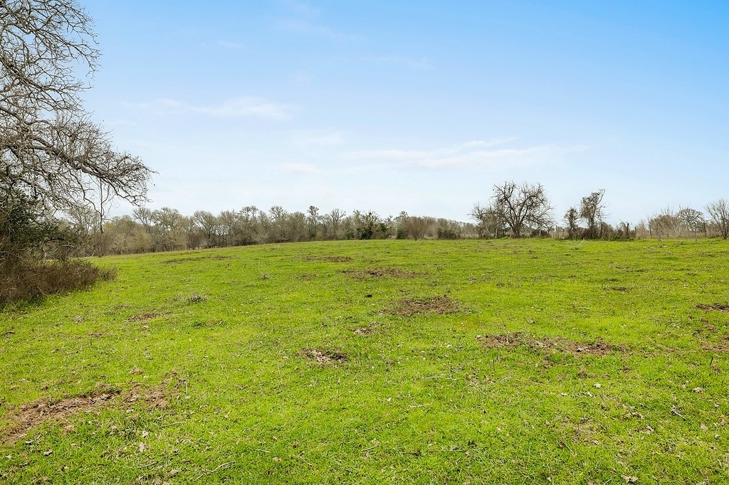 1 Tbd Kleihege Road New Ulm, TX 78950 - Photo 4 of 9 a view of an ocean from a yard