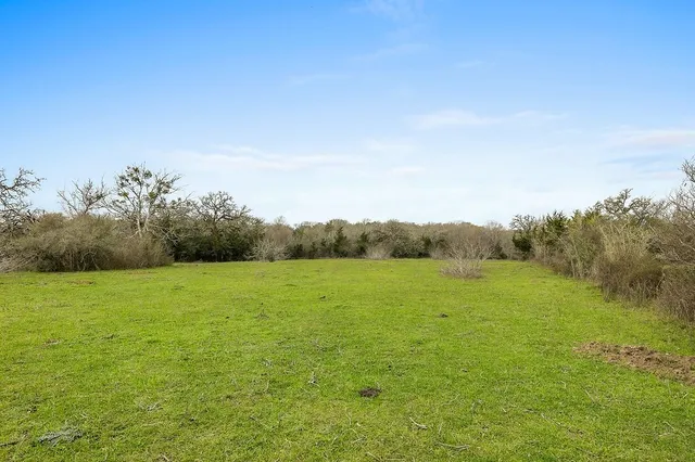 a view of an ocean from a yard