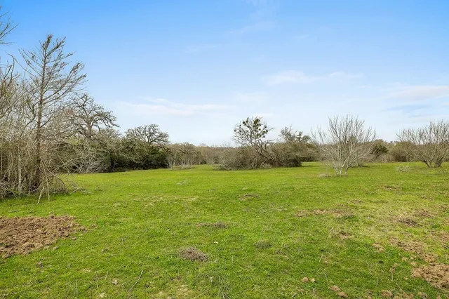 a view of an ocean from a yard