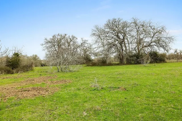 a view of outdoor space with green field and trees all around