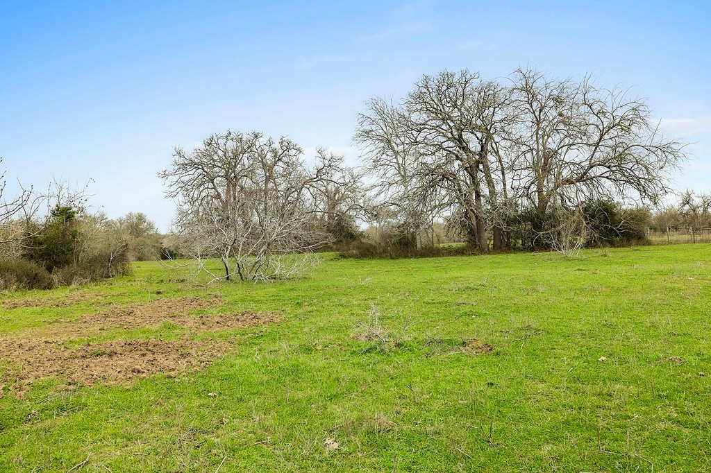 1 Tbd Kleihege Road New Ulm, TX 78950 - Photo 8 of 9 a view of outdoor space with green field and trees all around