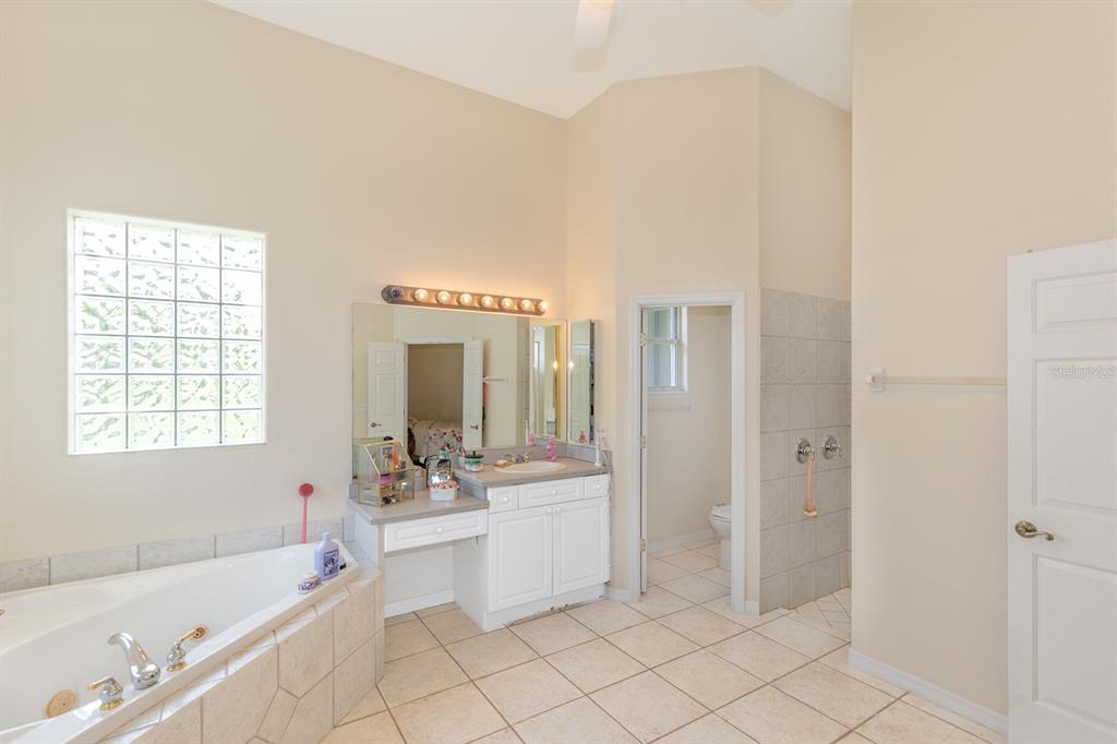32025 Timberlake Drive Mount Dora, FL 32757 - Photo 17 of 55 a bathroom with a bathtub a sink a mirror and a shower