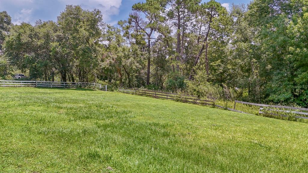 32025 Timberlake Drive Mount Dora, FL 32757 - Photo 45 of 55